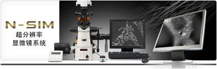 N-SIM超分辨率显微镜