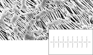 Sartorius赛多利斯聚四氟乙烯(PTFE)膜