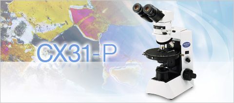 奥林巴斯工业显微镜CX31-P小型偏光显微镜