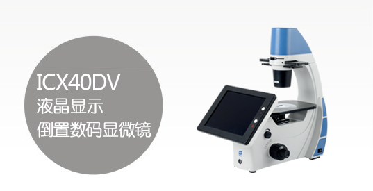 ICX40DV液晶显示倒置生物显微镜