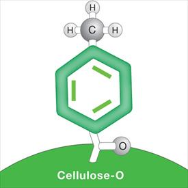 Lux® Cellulose-3手性柱
