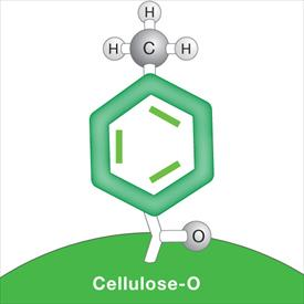 Lux® Cellulose-4手性柱